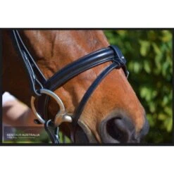 Kentaur 'Classic' Bridle With Rubber Reins -Equestrian Supply Store kentaur classic bridle with rubber reins bridle 4