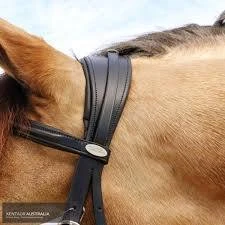 Kentaur 'Comfort Poll' Bridle 3 Kentaur 'Comfort Poll' Bridle - Image 3