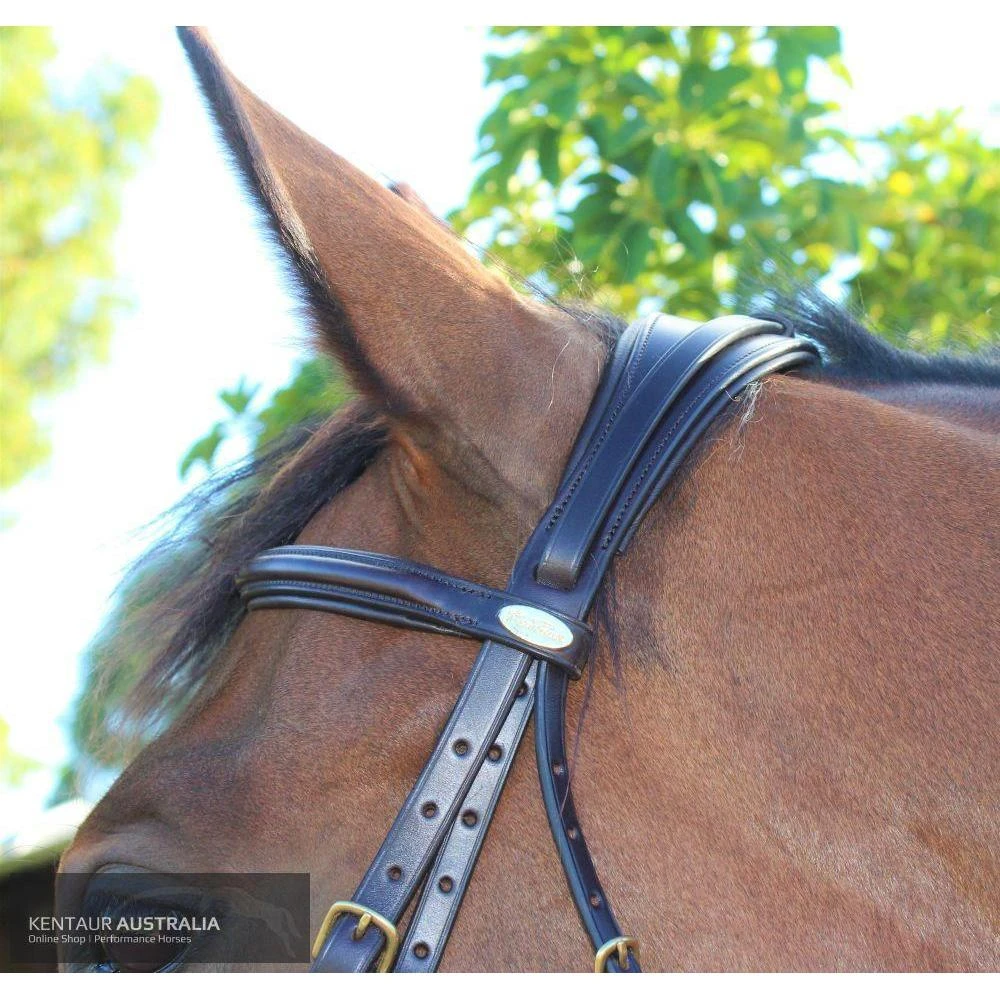 Kentaur 'Comfort Poll' Bridle 1 Kentaur 'Comfort Poll' Bridle
