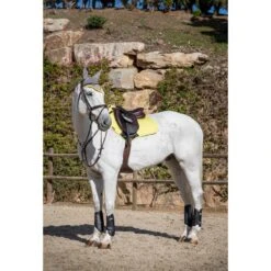 LeMieux Carbon Air XC Boots -Equestrian Supply Store lemieux carbon air xc boots boots 10