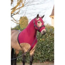 LeMieux Friction Free Lycra Hood 8 LeMieux Friction Free Lycra Hood -Equestrian Supply Store lemieux friction free lycra hood hood 4