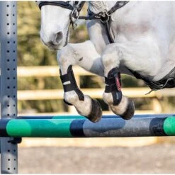 LeMieux Junior Pro Boots  -Equestrian Supply Store lemieux junior pro boots show jumping boots 10