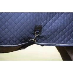 LeMieux Lustre Rug   -Equestrian Supply Store lemieux lustre rug rug 7