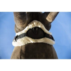 LeMieux Merino+ Curve Stud Guard Cover  -Equestrian Supply Store lemieux merino curve stud guard cover girth cover 7