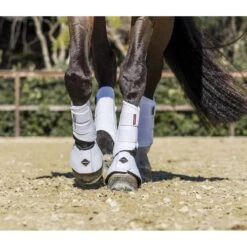 LeMieux Proshell Brushing Boots -Equestrian Supply Store lemieux proshell brushing boots boots 3