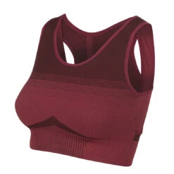 LeMieux Activewear Sports Bra 29 LeMieux Activewear Sports Bra -Equestrian Supply Store lm sportsbra rioja1 lr 02