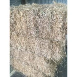 Meadow Hay