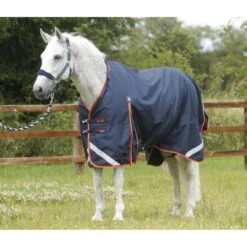 Premier Equine Buster Zero 0g Turnout Rug With Classic Neck Cover -Equestrian Supply Store premier equine buster 0g rug rug