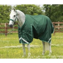 Premier Equine Buster 200g Turnout Rug With Neck Cover -Equestrian Supply Store premier equine buster 200g turnout rugs pre order rug 10