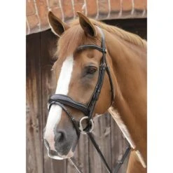 Premier Equine Favoloso Anatomic Bridle