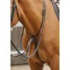 Premier Equine Fuscaldo Running Martingale