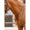 Premier Equine Gressan Standing Martingale
