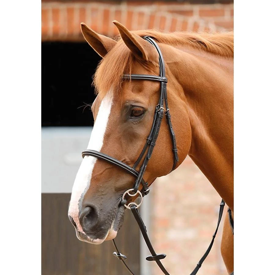 Premier Equine Mossimo Cavesson Bridle 1 Premier Equine Mossimo Cavesson Bridle