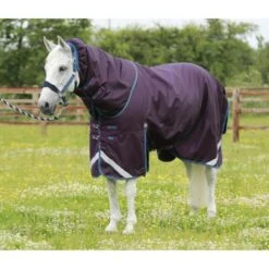 Premier Equine Titan 200g Turnout Rug With Detachable Neck Cover -Equestrian Supply Store premier equine titan 200 rug rug 10