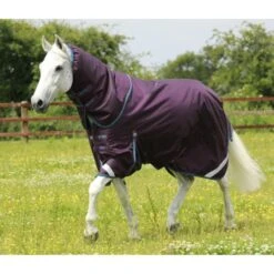 Premier Equine Titan 200g Turnout Rug With Detachable Neck Cover -Equestrian Supply Store premier equine titan 200 rug rug 11