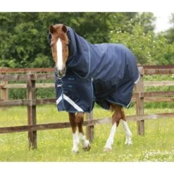 Premier Equine Titan 200g Turnout Rug With Detachable Neck Cover -Equestrian Supply Store premier equine titan 200 rug rug 13