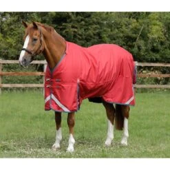 Premier Equine Titan 200g Turnout Rug With Detachable Neck Cover -Equestrian Supply Store premier equine titan 200 rug rug 7