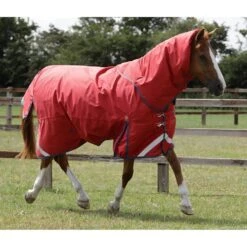 Premier Equine Titan 200g Turnout Rug With Detachable Neck Cover -Equestrian Supply Store premier equine titan 200 rug rug 8