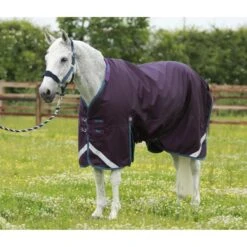 Premier Equine Titan 200g Turnout Rug With Detachable Neck Cover -Equestrian Supply Store premier equine titan 200 rug rug 9