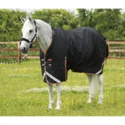 Premier Equine Titan 300g Turnout Rug With Detachable Neck Cover -Equestrian Supply Store premier equine titan 300g turnout rug rug 8