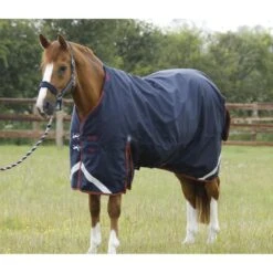 Premier Equine Titan 450g Turnout Rug With Detachable Neck -Equestrian Supply Store premier equine titan 450g turnout rugs pre order rug 10