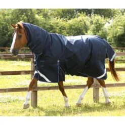 Premier Equine Titan Storm 200g Turnout Combo -Equestrian Supply Store premier equine titan storm 200g turnout rug pre order rug 10