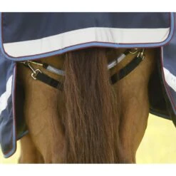 Premier Equine Titan Storm 200g Turnout Combo -Equestrian Supply Store premier equine titan storm 200g turnout rug pre order rug 3
