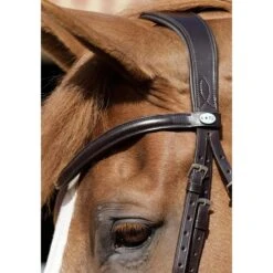 Premier Equine Verdura Anatomic Snaffle Bridle -Equestrian Supply Store premier equine verdura anatomic snaffle bridle bridle 3