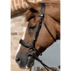 Premier Equine Verdura Anatomic Snaffle Bridle -Equestrian Supply Store premier equine verdura anatomic snaffle bridle bridle 4