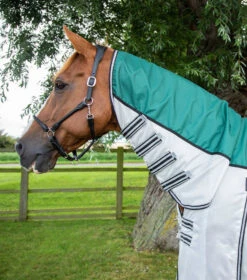Premier Equine ShowerTex Fly Rug -Equestrian Supply Store showertex fly rug with surcingles 201950grn 737103 768x 034e9a1a 5b67 4472 a429 02e293b2d4f8