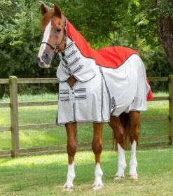 Premier Equine ShowerTex Fly Rug -Equestrian Supply Store showertex fly rug with surcingles 201950r 131562 768x 4aac59a9 1fe4 431b bc5a 2b6967b247c5