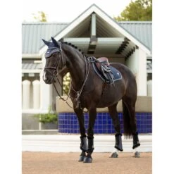 LeMieux Twilight Collection Classic Close Contact Square -Equestrian Supply Store tracyrobertson twilight2022 029