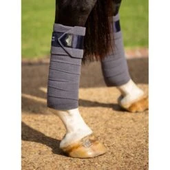 LeMieux Twilight Collection Polo Bandages -Equestrian Supply Store tracyrobertson twilight2022 079